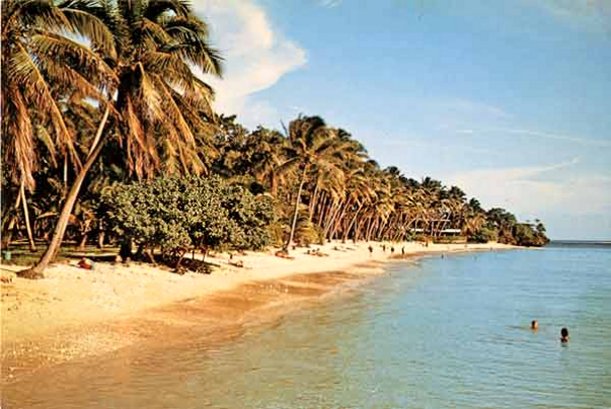 fiji.beach1.jpg (64541 bytes)