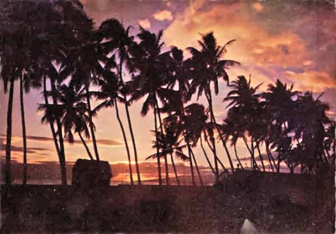 fiji.sunset1.jpg (69785 bytes)