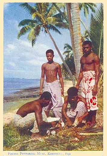 fiji2.jpg (59877 bytes)